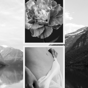 e3058cabcfdf5f6225ec8a168ba6a561